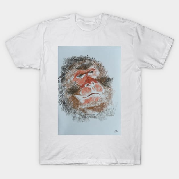 Monkey T-Shirt by hicksi7